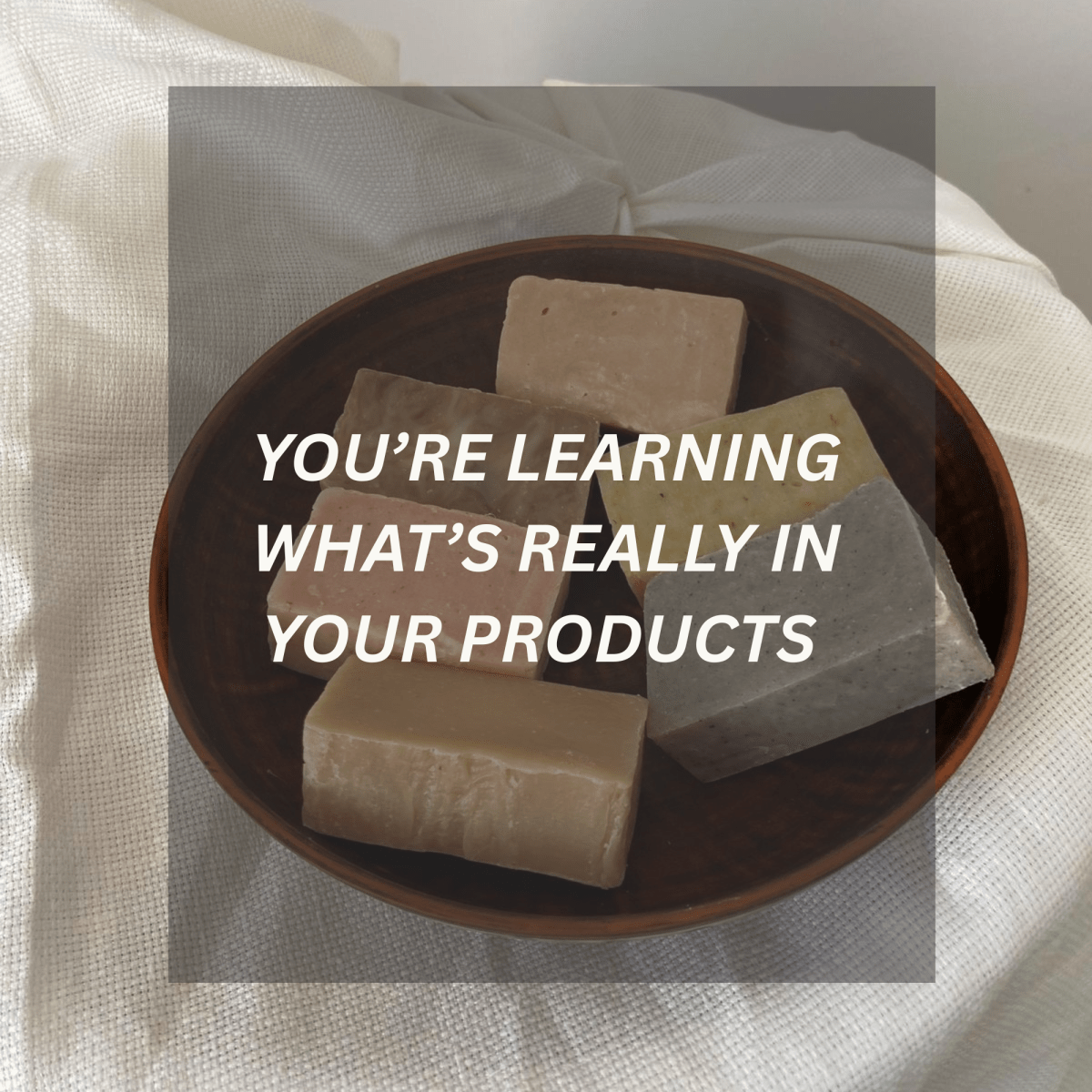 You’re Learning What’s Really In Your&nbsp;Products