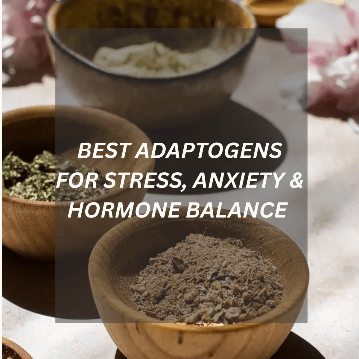 🌿 Best Adaptogens for Stress, Anxiety, and Hormone&nbsp;Balance
